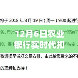 12月6日农业银行实时代扣额度详解，新规定下你需要知道的一切