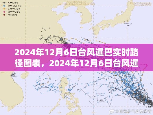 全面解析与案例分析，2024年台风暹巴实时路径图表