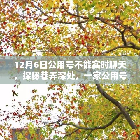 探秘巷弄深处，公用号无法触及的实时聊天小店背后的故事