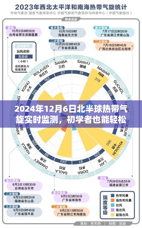 初学者也能轻松掌握，2024年北半球热带气旋实时监测步骤详解