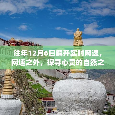 解开网速之谜，心灵的自然之旅与远离尘嚣的奇妙冒险