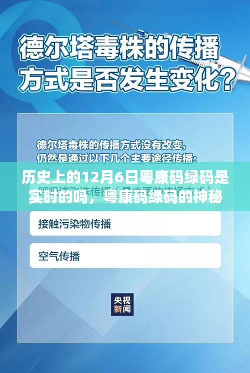 粤康码绿码揭秘，历史追溯与实时性探究，以及巷弄深处的独特小店探索之旅