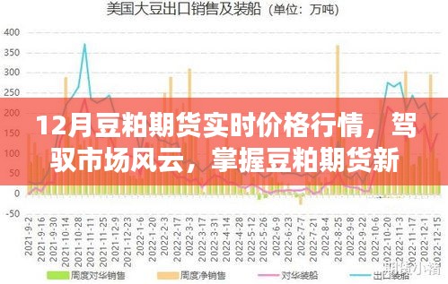 12月豆粕期货实时价格行情，掌握新动向，智能投资新时代的引领者