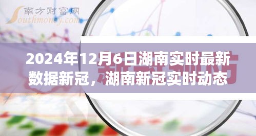 2024年12月6日湖南新冠疫情实时数据发布，最新动态与深远影响分析