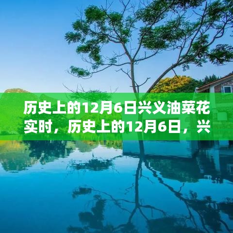 历史上的12月6日兴义油菜花盛开，自信与成就感的启示之旅