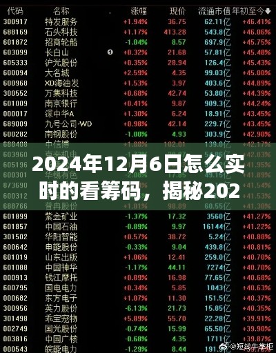 揭秘2024年12月6日股市筹码实时分布观察策略与解析——深度探讨实时观察股市筹码的技巧与观点