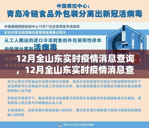 山东实时疫情消息查询指南，12月疫情动态全掌握