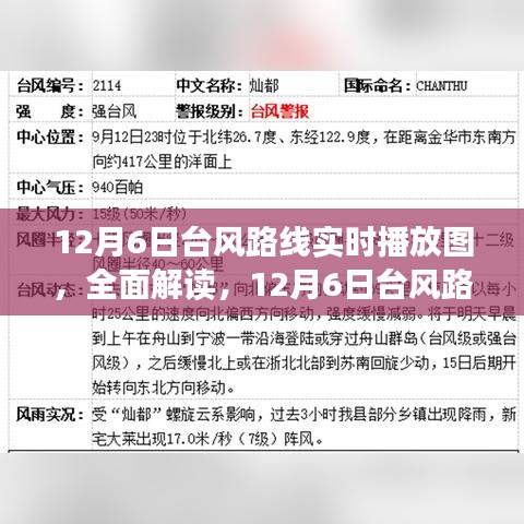 12月6日台风路线实时播放图详解与产品评测