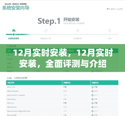 实时安装指南，全面评测与详细介绍