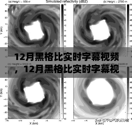 独家深度解读与体验分享，12月黑格比实时字幕视频全解析