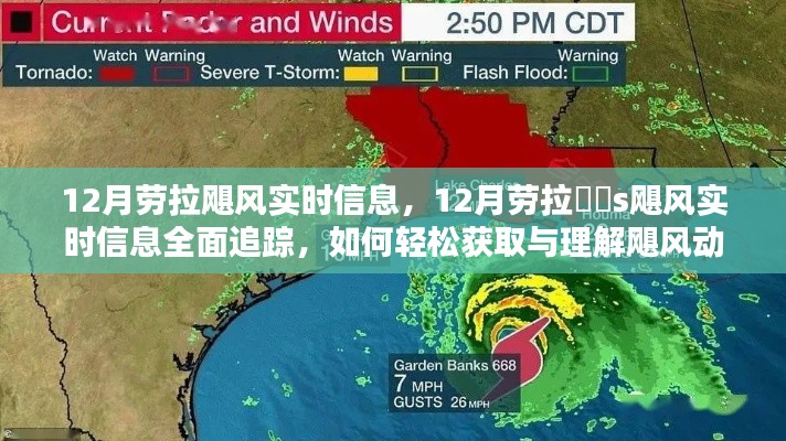 12月劳拉飓风实时信息追踪与理解，技能指南