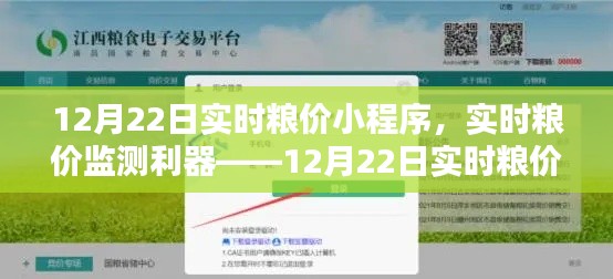 12月22日实时粮价监测小程序，全面解析与使用指南