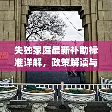 失独家庭最新补助标准详解，政策解读与福利概览