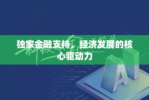 独家金融支持，经济发展的核心驱动力