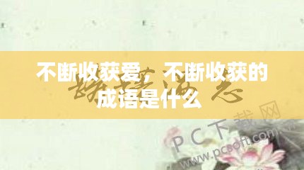 不断收获爱，不断收获的成语是什么 