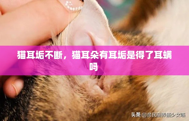 猫耳垢不断，猫耳朵有耳垢是得了耳螨吗 