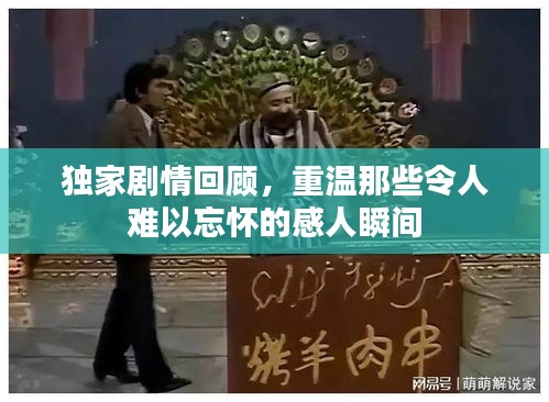 独家剧情回顾，重温那些令人难以忘怀的感人瞬间