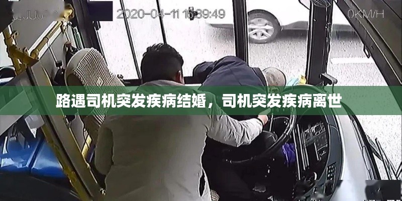 第610页