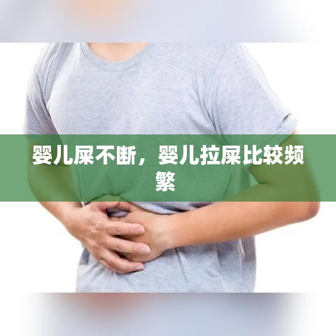 婴儿屎不断，婴儿拉屎比较频繁 