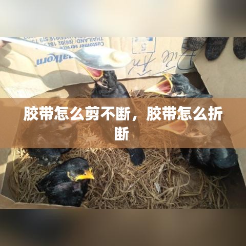 胶带怎么剪不断，胶带怎么折断 