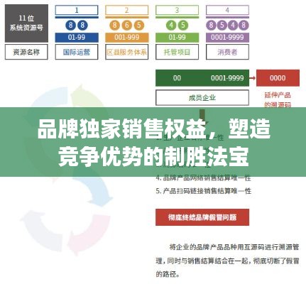 品牌独家销售权益，塑造竞争优势的制胜法宝