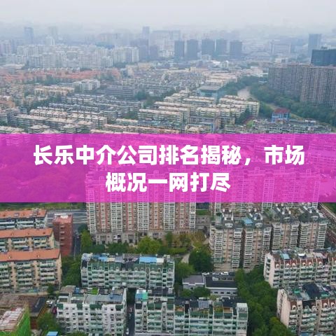 长乐中介公司排名揭秘，市场概况一网打尽