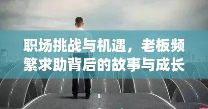 职场挑战与机遇，老板频繁求助背后的故事与成长之路