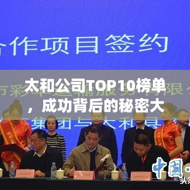 太和公司TOP10榜单，成功背后的秘密大揭秘！