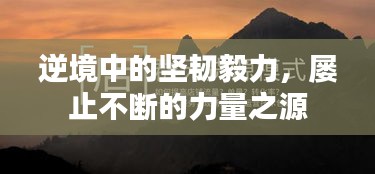 逆境中的坚韧毅力，屡止不断的力量之源