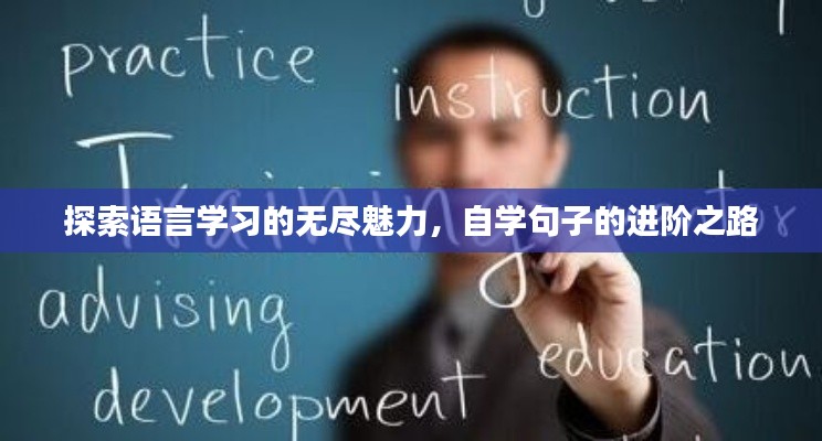 探索语言学习的无尽魅力，自学句子的进阶之路