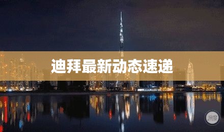 迪拜最新动态速递