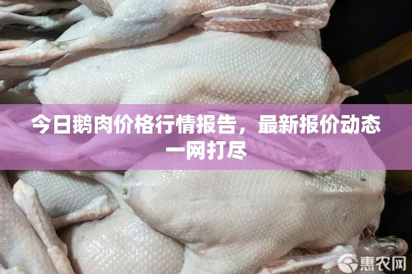 今日鹅肉价格行情报告，最新报价动态一网打尽