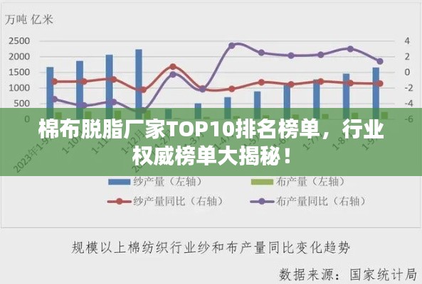 棉布脱脂厂家TOP10排名榜单，行业权威榜单大揭秘！