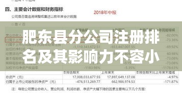 肥东县分公司注册排名及其影响力不容小觑