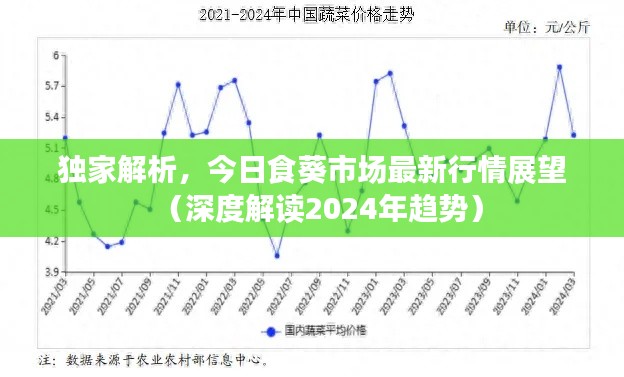 独家解析，今日食葵市场最新行情展望（深度解读2024年趋势）