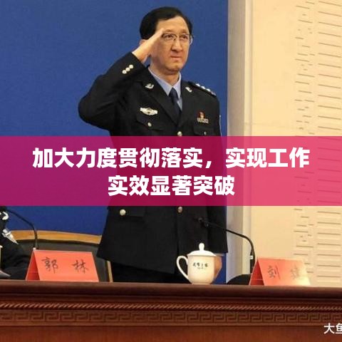 加大力度贯彻落实，实现工作实效显著突破