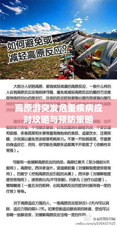 高原游突发危重疾病应对攻略与预防策略