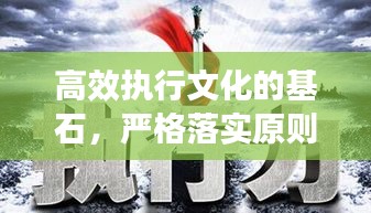 高效执行文化的基石，严格落实原则，打造卓越执行力