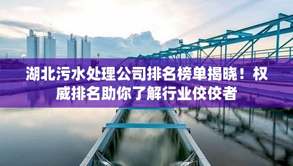 湖北污水处理公司排名榜单揭晓！权威排名助你了解行业佼佼者