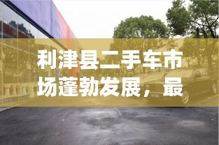 利津县二手车市场蓬勃发展，最新新闻头条深度解析