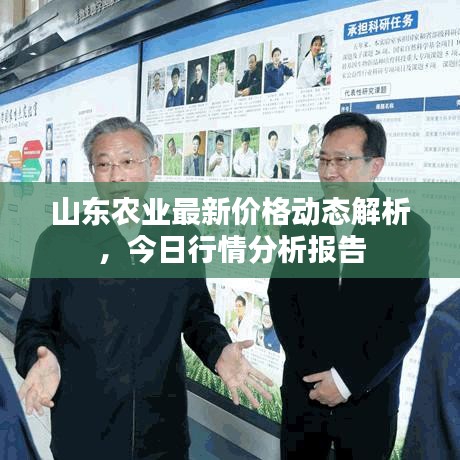 山东农业最新价格动态解析，今日行情分析报告