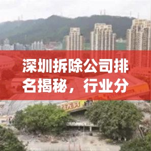 深圳拆除公司排名揭秘，行业分析与深度解读