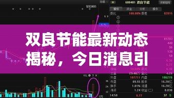 双良节能最新动态揭秘，今日消息引人瞩目