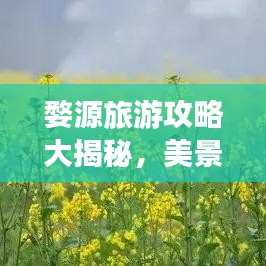 婺源旅游攻略大揭秘，美景尽收眼底！