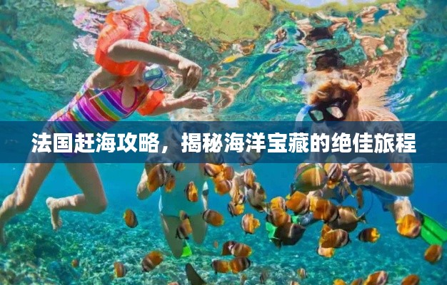 法国赶海攻略，揭秘海洋宝藏的绝佳旅程