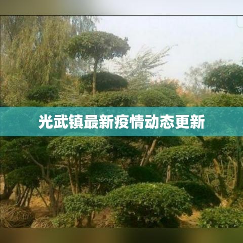 光武镇最新疫情动态更新