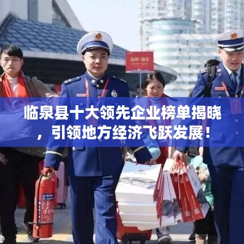临泉县十大领先企业榜单揭晓，引领地方经济飞跃发展！