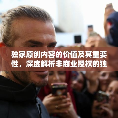 独家原创内容的价值及其重要性，深度解析非商业授权的独特意义