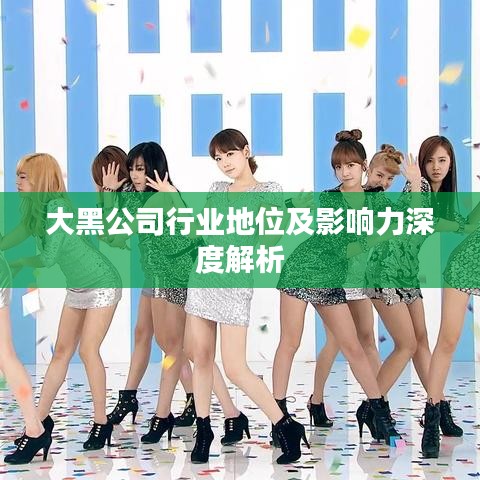 大黑公司行业地位及影响力深度解析