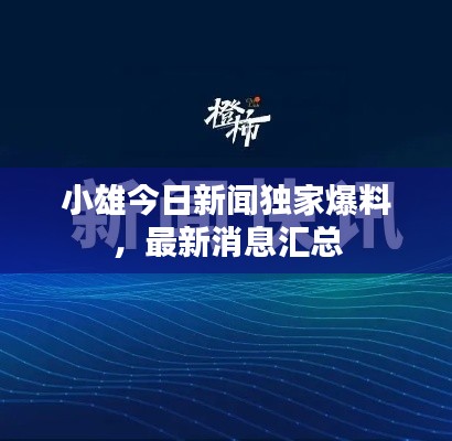 小雄今日新闻独家爆料，最新消息汇总